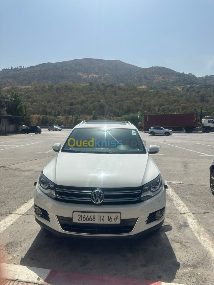 Volkswagen Tiguan 2014 Cup