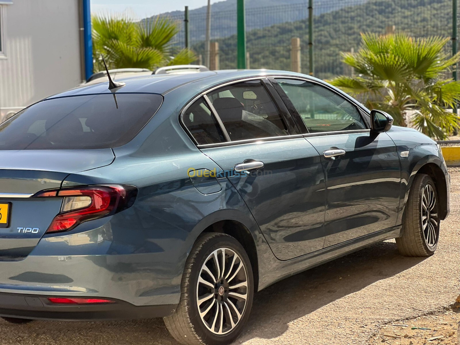 Fiat tipo 2024 