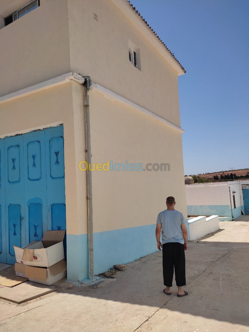 Vente Terrain Mostaganem Mesra