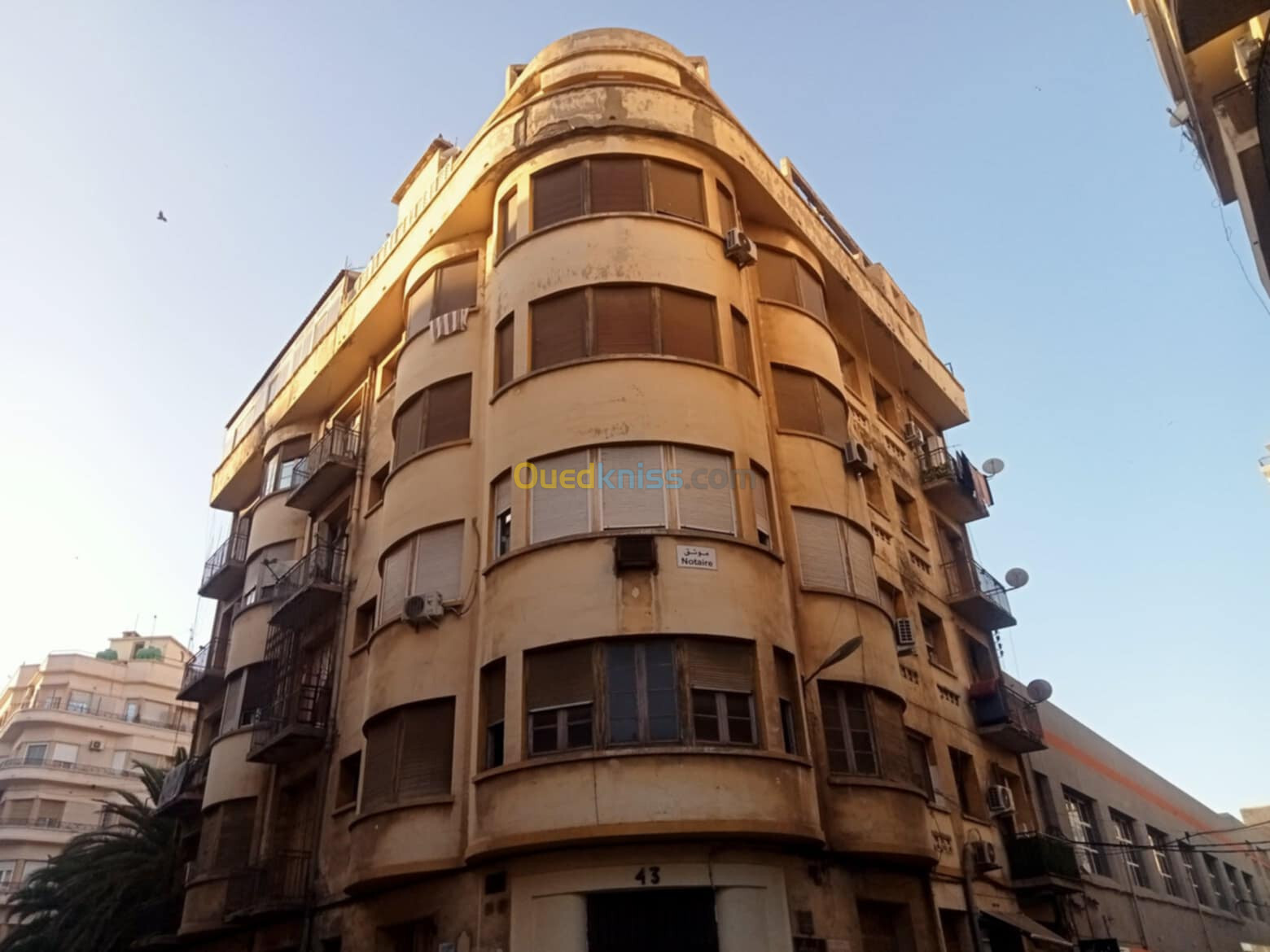 Location Appartement F2 Oran Oran