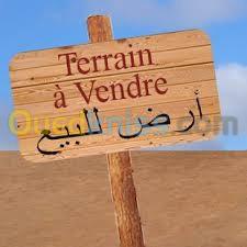 Vente Terrain Oran El Kerma