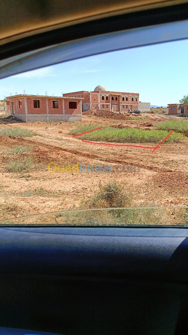 Vente Terrain Tlemcen Marsa ben mhidi