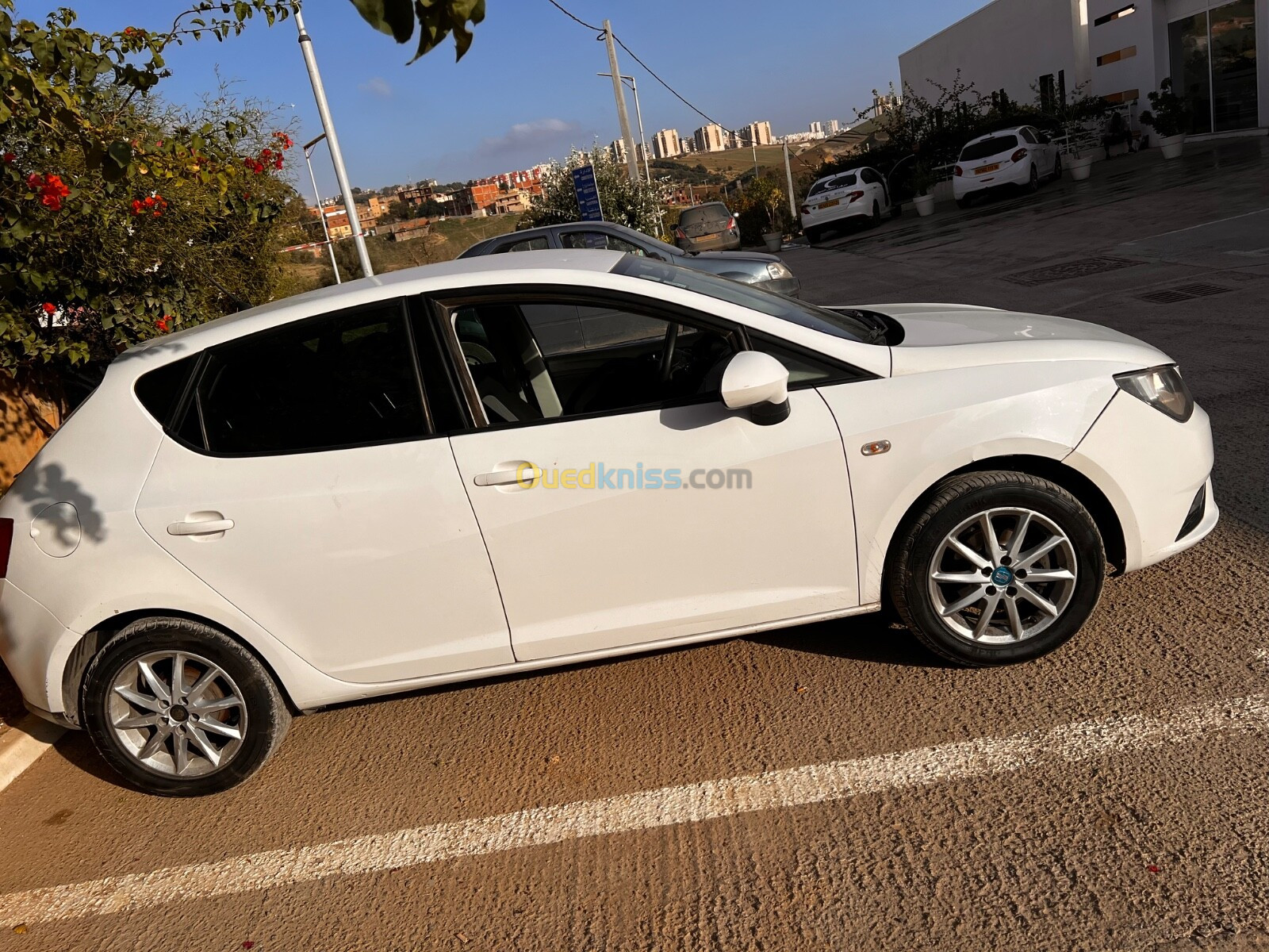 Seat Ibiza 2012 Fully