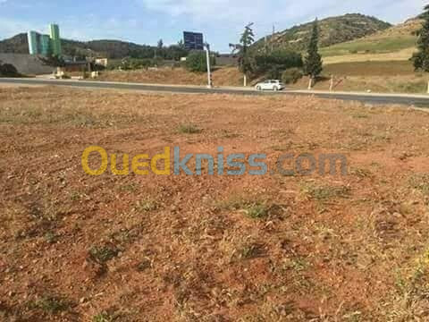 Vente Terrain Tlemcen Nedroma