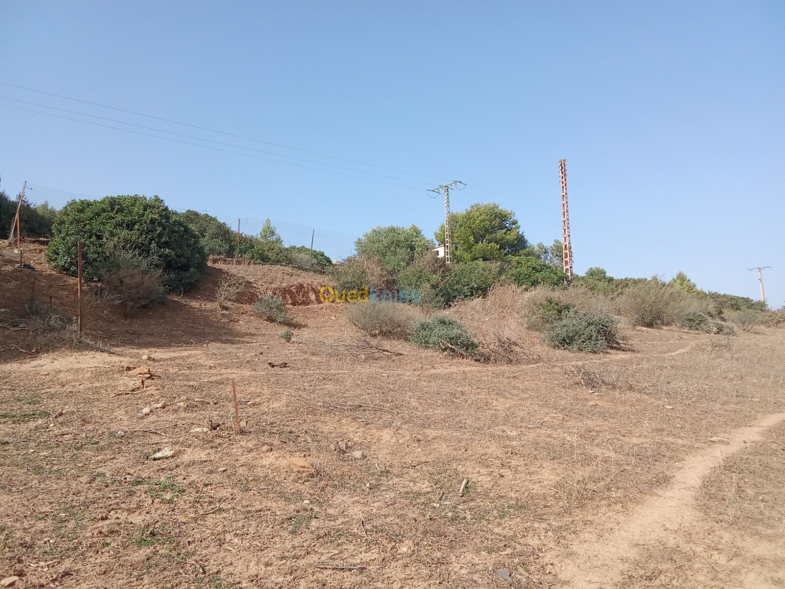 Vente Terrain Boumerdès Larbatache