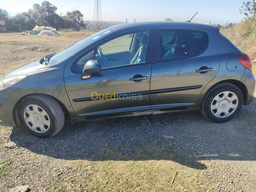 Peugeot 207 2007 207