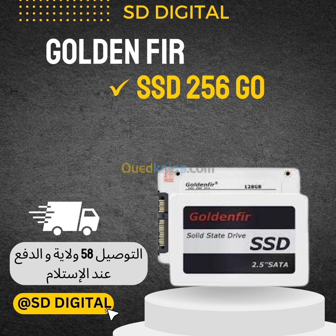 SSD 256 GO Golden Fir