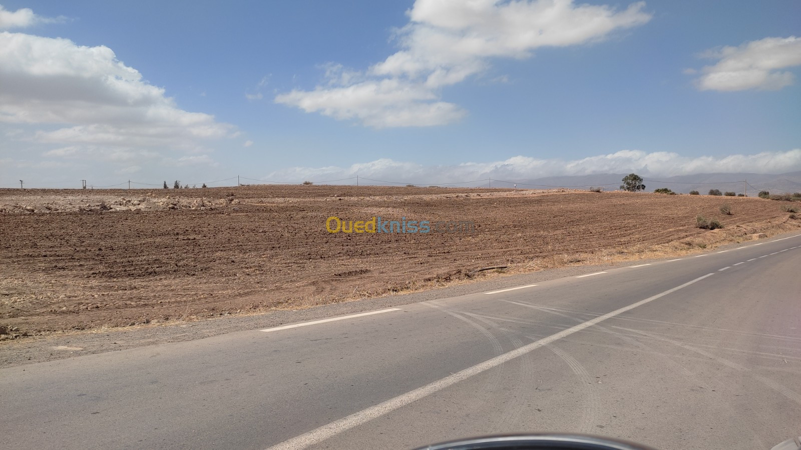 Vente Terrain Agricole Tlemcen Sabra