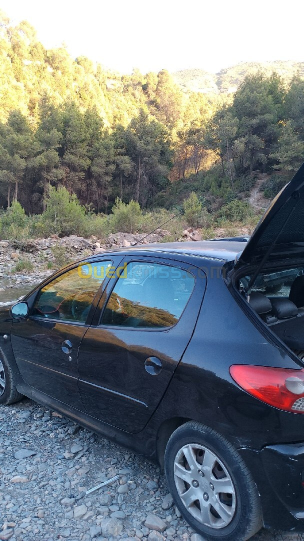 Peugeot 206 Plus 2010 206 Plus