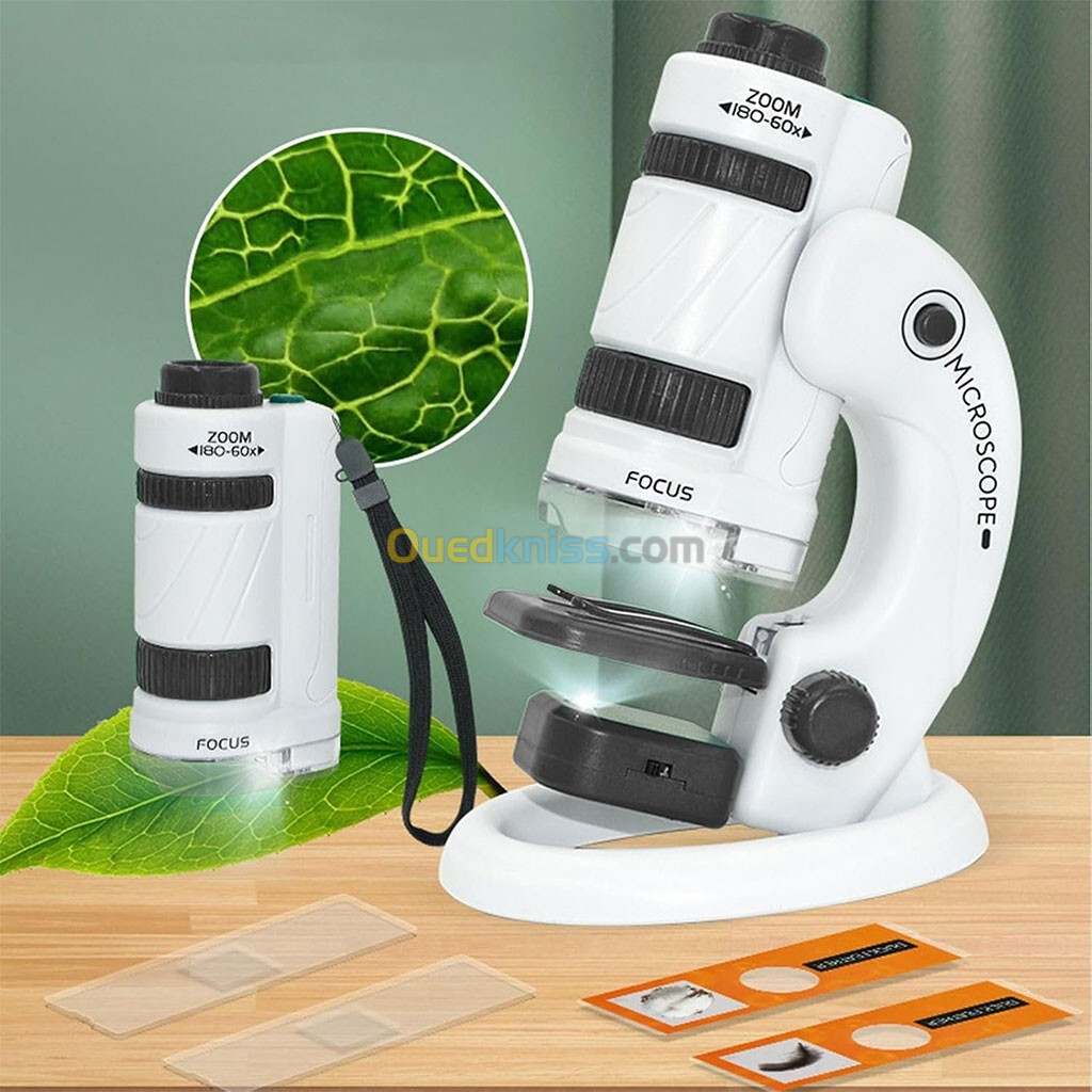 Kit de microscope pour enfants, 60X-180X avec support amovible LED double lumière