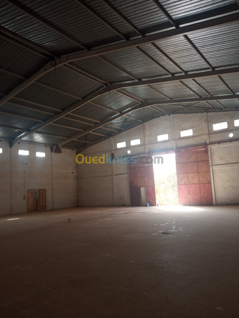 Vente Hangar Sidi Bel Abbès Sfissef