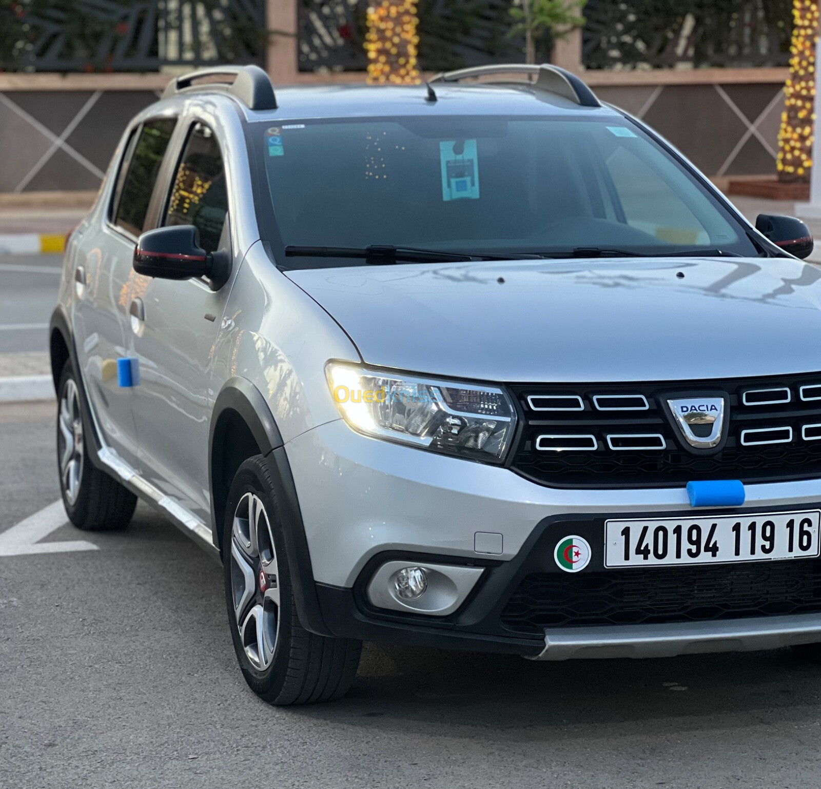 Dacia Sandero 2019 Stepway Techrood