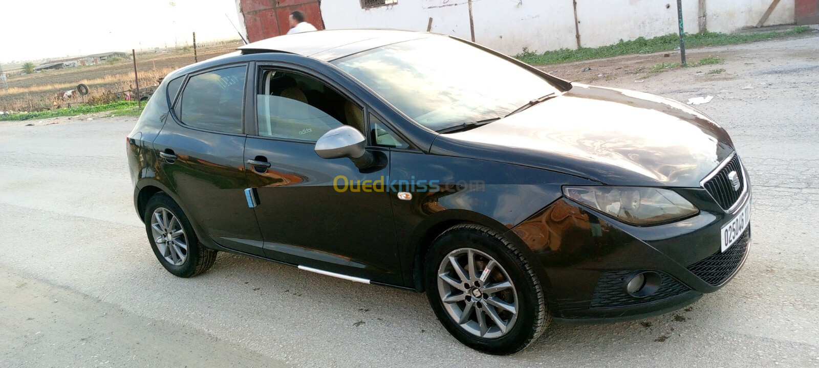 Seat Ibiza 2011 Fully