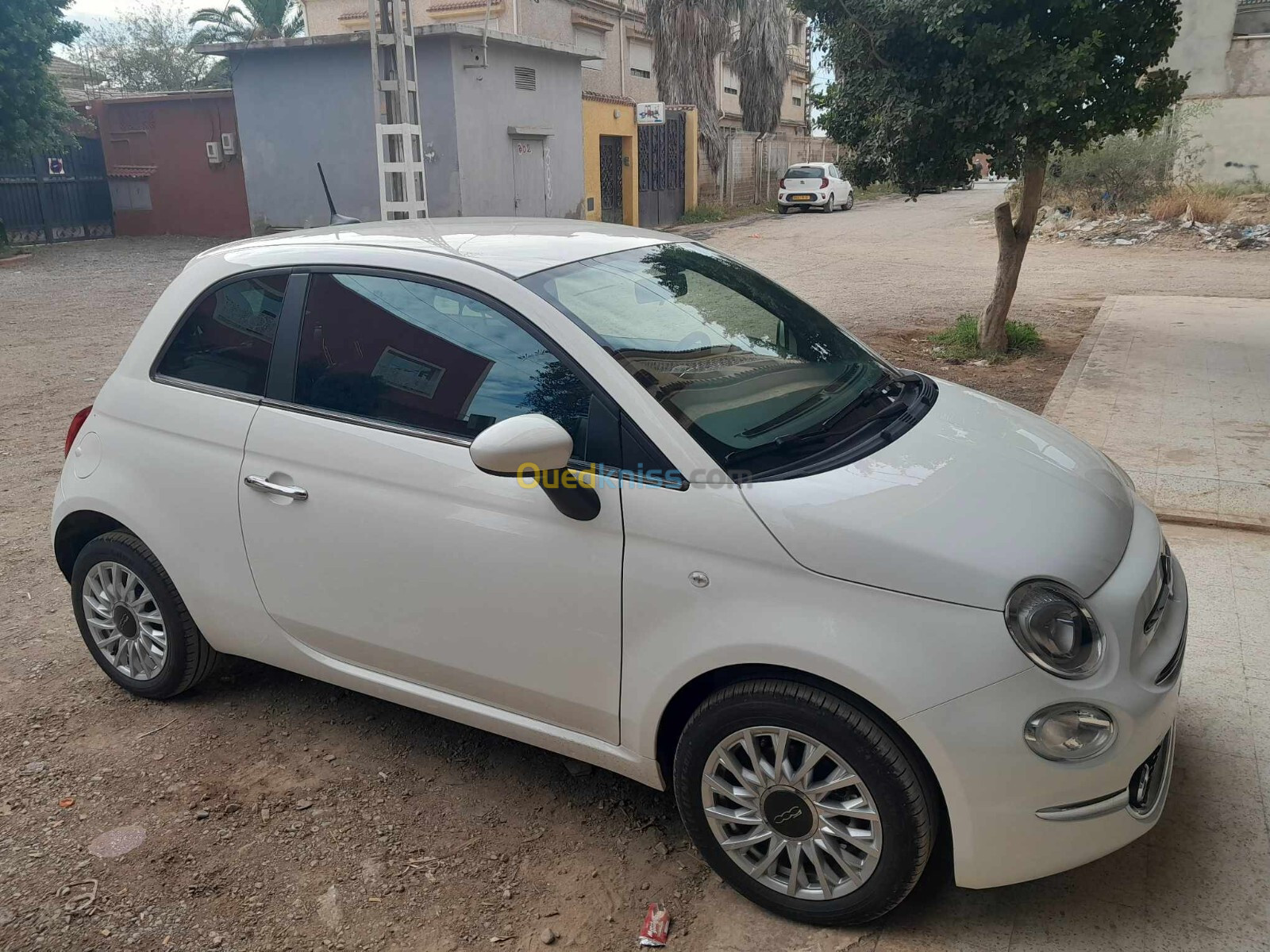 Fiat fiat 500 2024 500 club