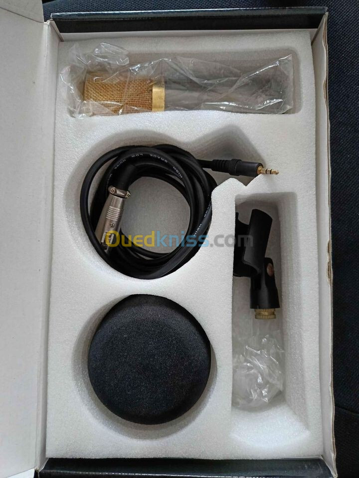 microphone pro condenser avec support