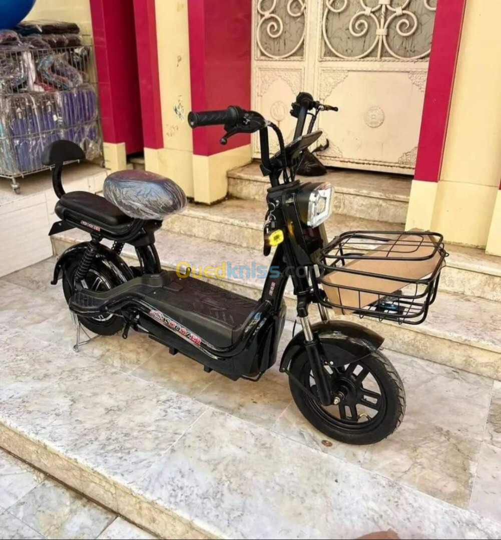 Scoozer Scooter électrique 2024