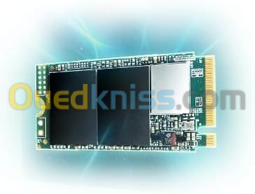 SSD interne 256 Go M.2 PCIe NVMe