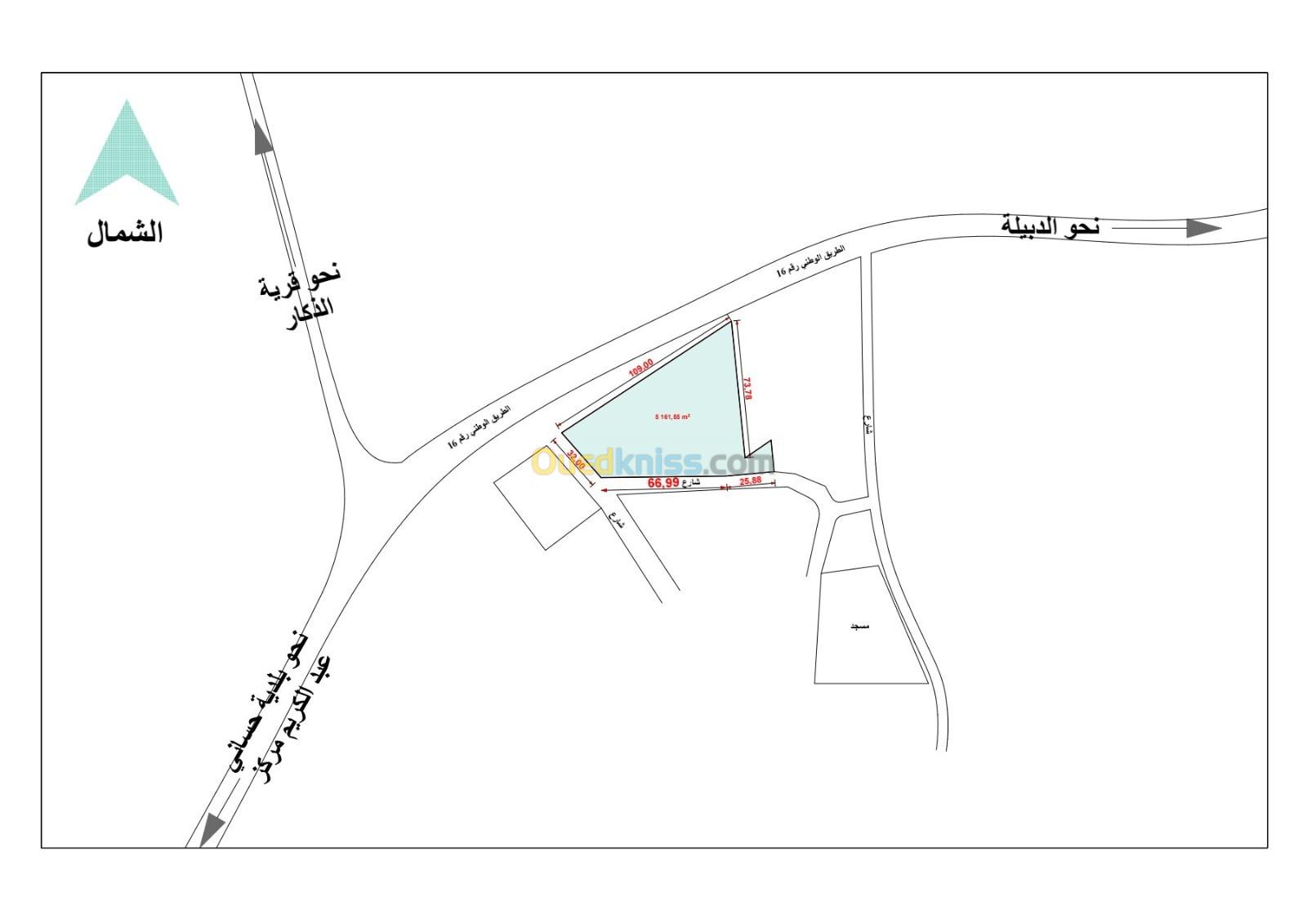 Vente Terrain El Oued Hassani abdelkrim