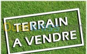 Vente Terrain Alger Bouzareah