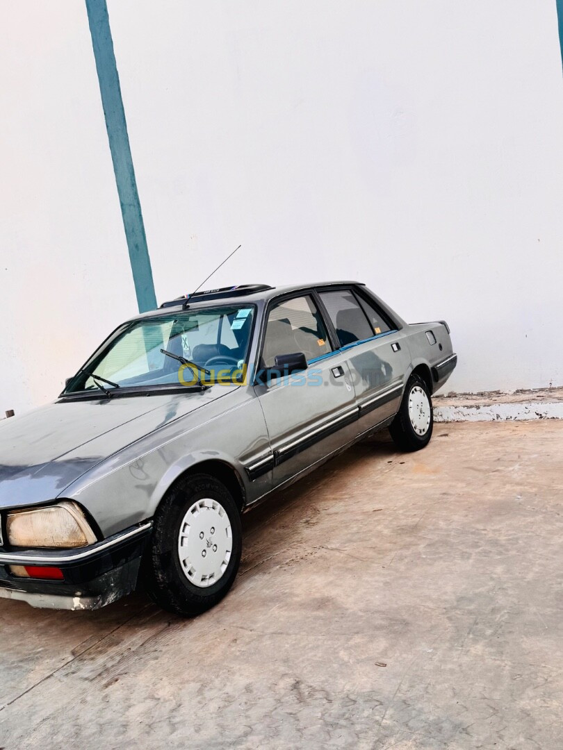 Peugeot 505 1989 GTR