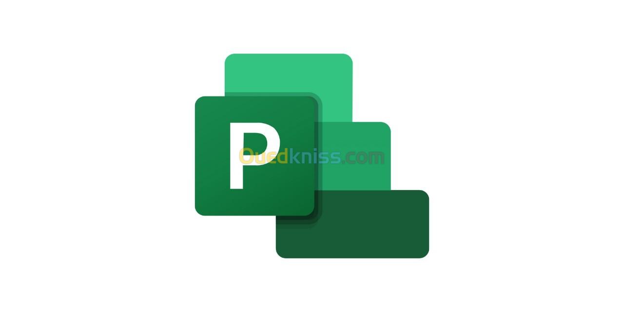 Microsoft Project Professional 2019 / 2021