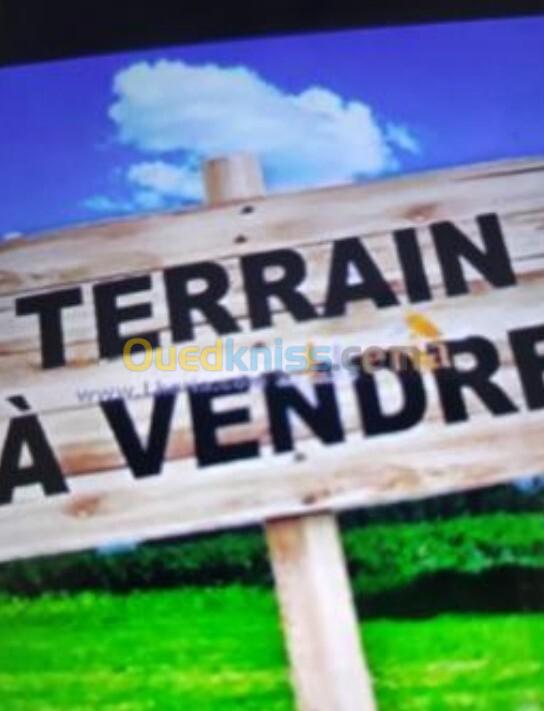 Vente Terrain Tipaza Cherchell