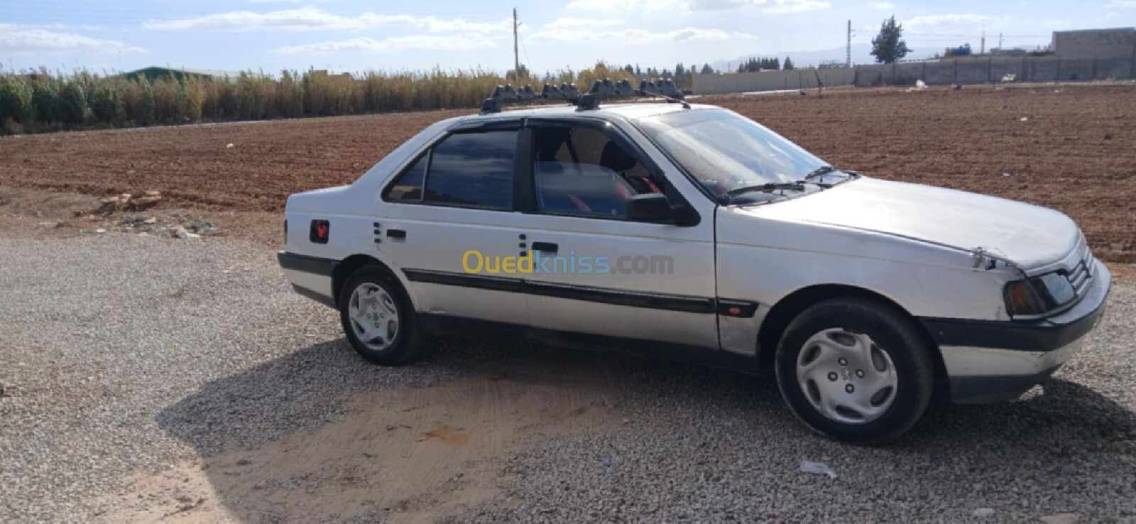 Peugeot 405 1988 405