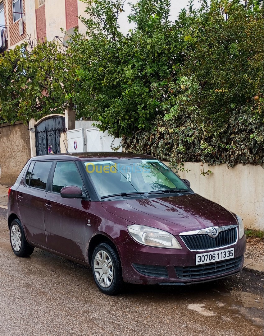 Skoda Fabia 2013 