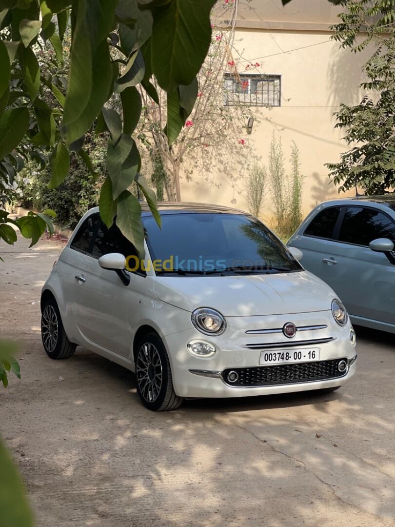 Fiat Fiat 500 2023 Dino