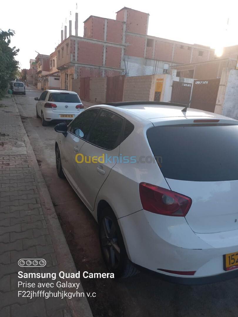 Seat Ibiza 2011 Ibiza