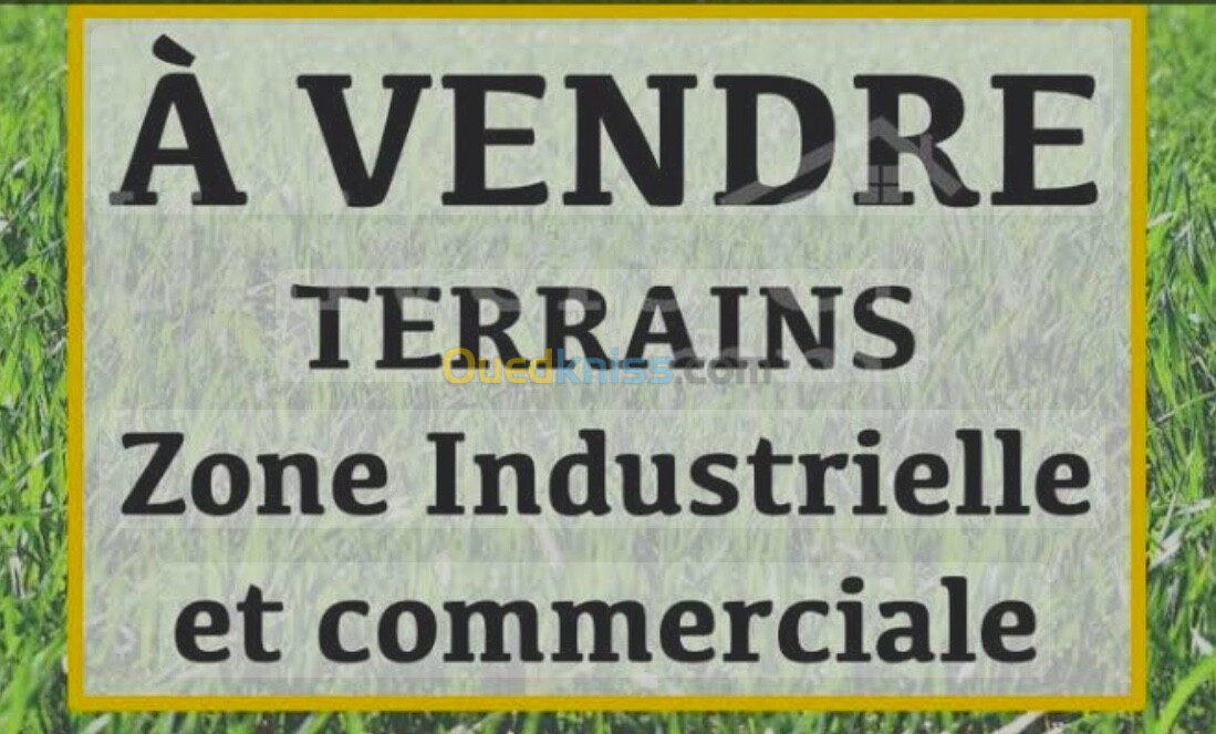 Vente Terrain Alger Birtouta