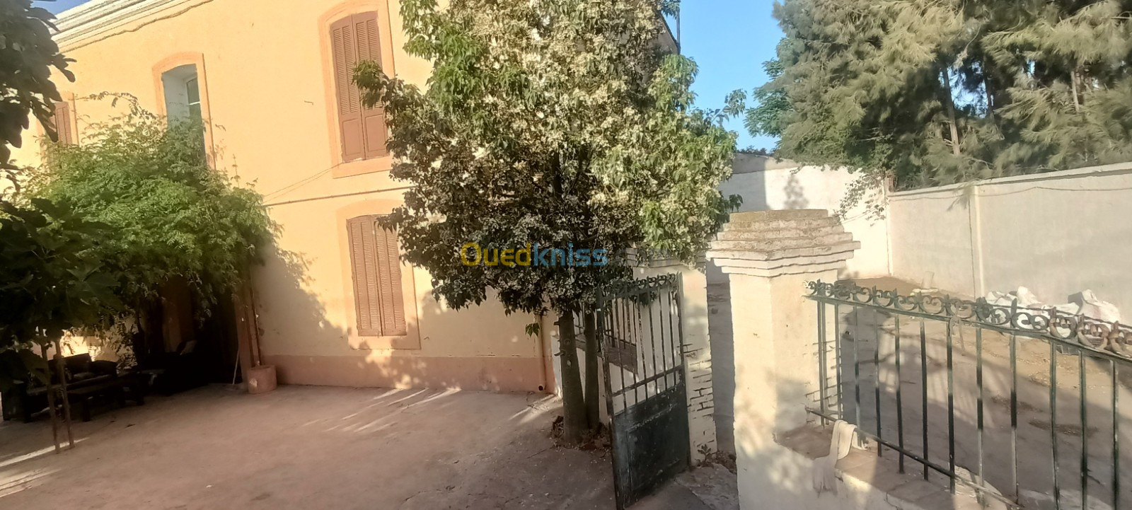 Vente Villa Ain temouchent El malah