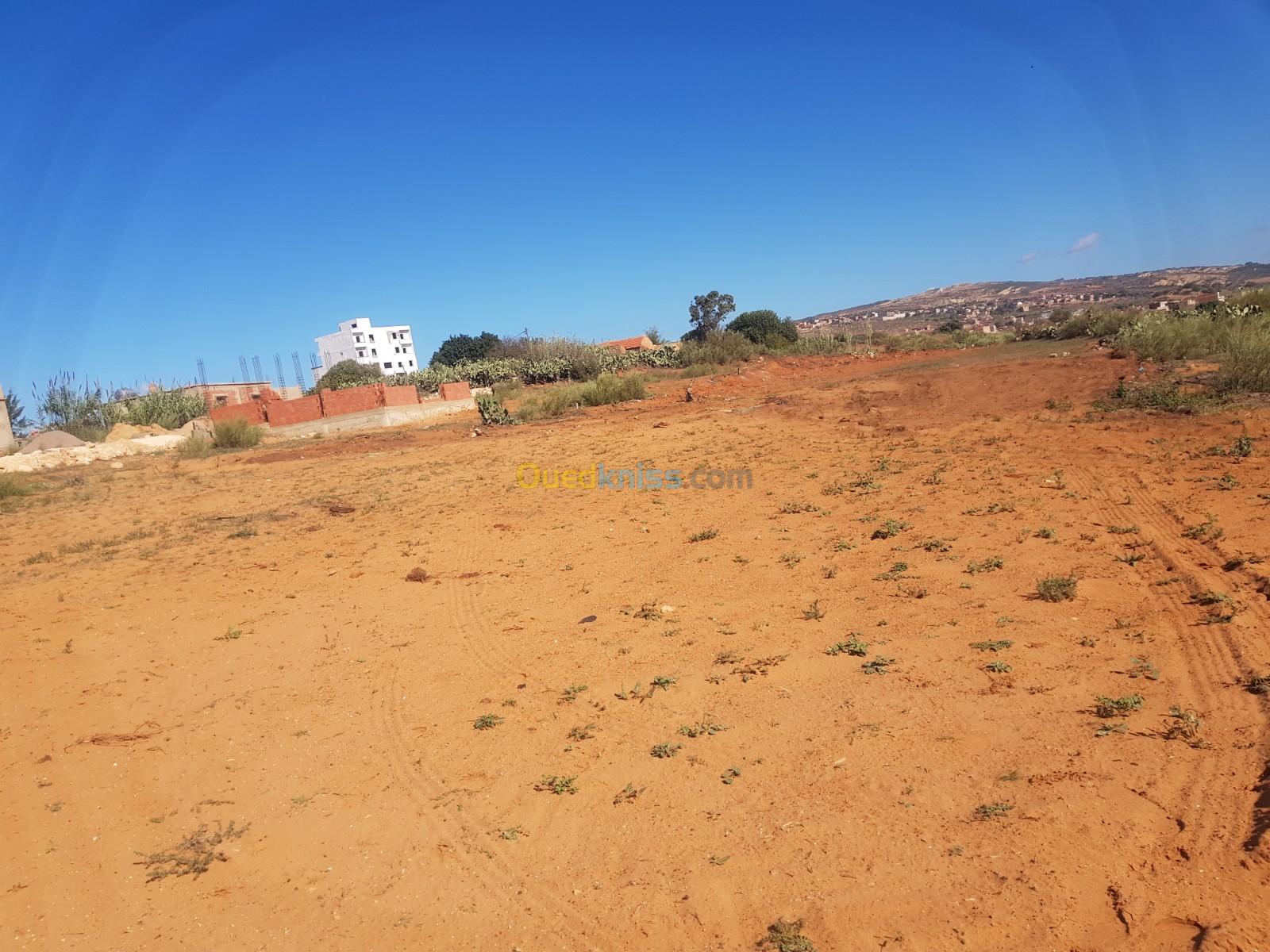 Vente Terrain Mostaganem Sayada