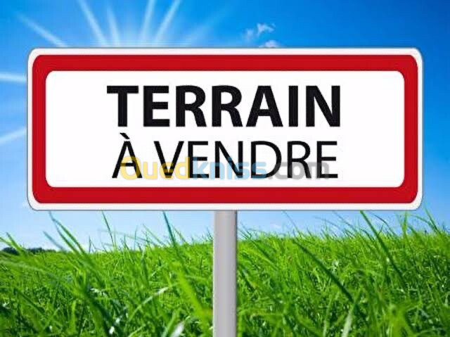 Vente Terrain Boumerdès Boumerdes