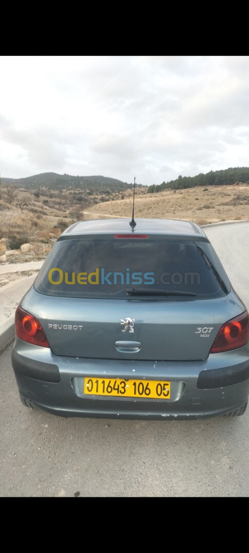 Peugeot 307 2006 Oxygo XT