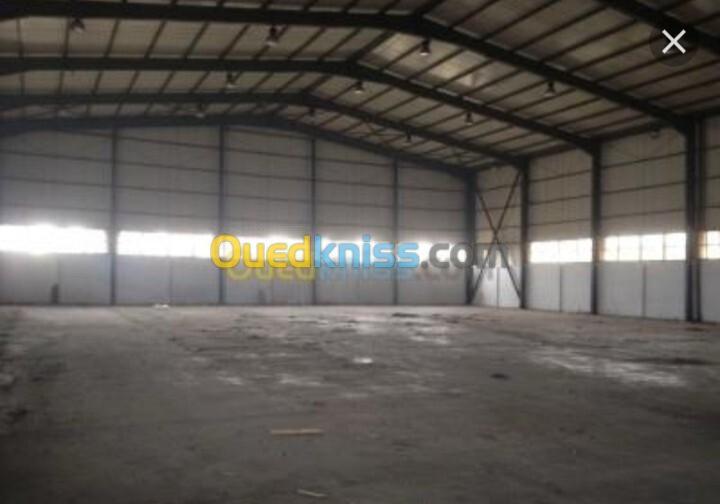 Vente Hangar Alger Rouiba