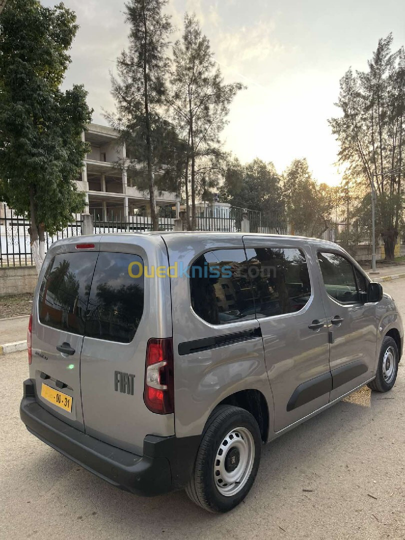 Fiat Professional Doblo 2024 Doblo