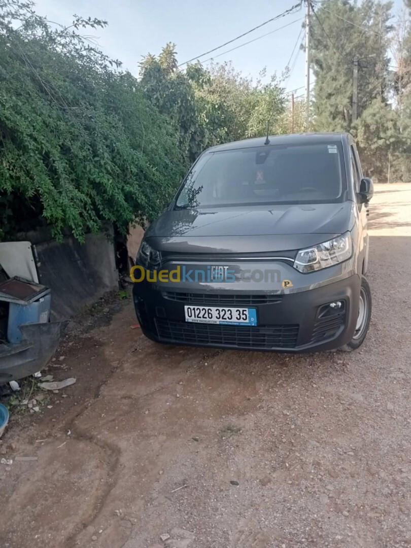 Fiat Doblo 2024 Professional