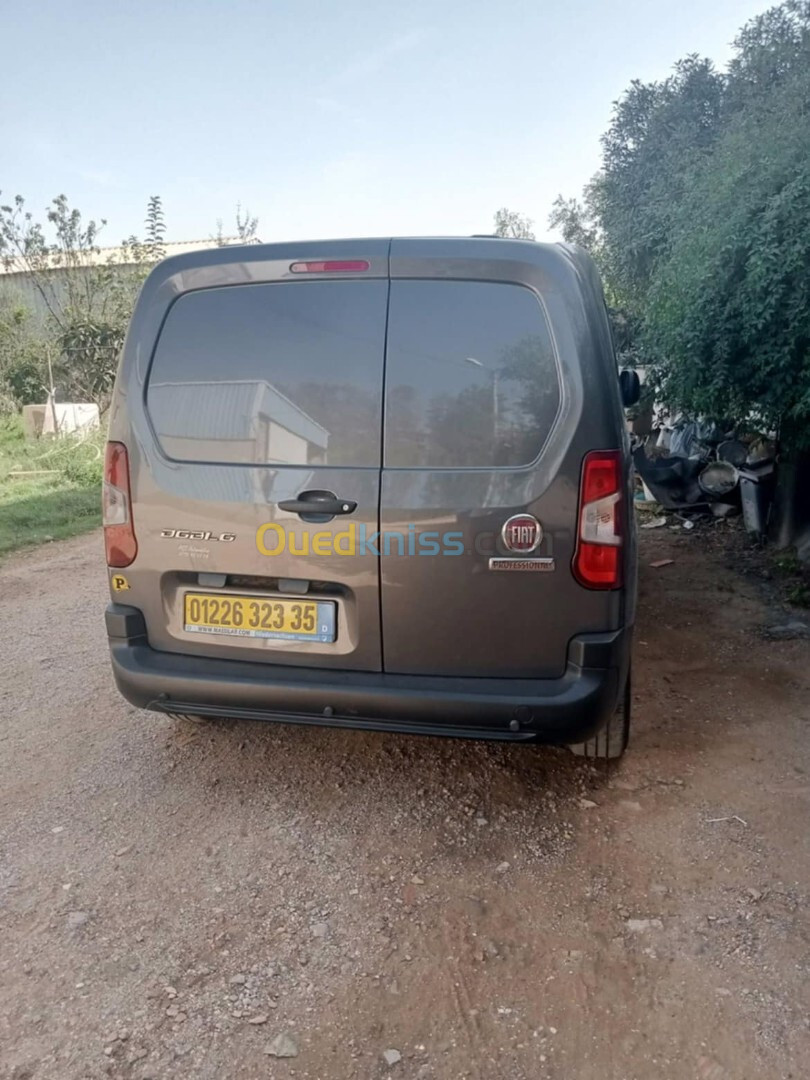 Fiat Doblo 2024 Professional