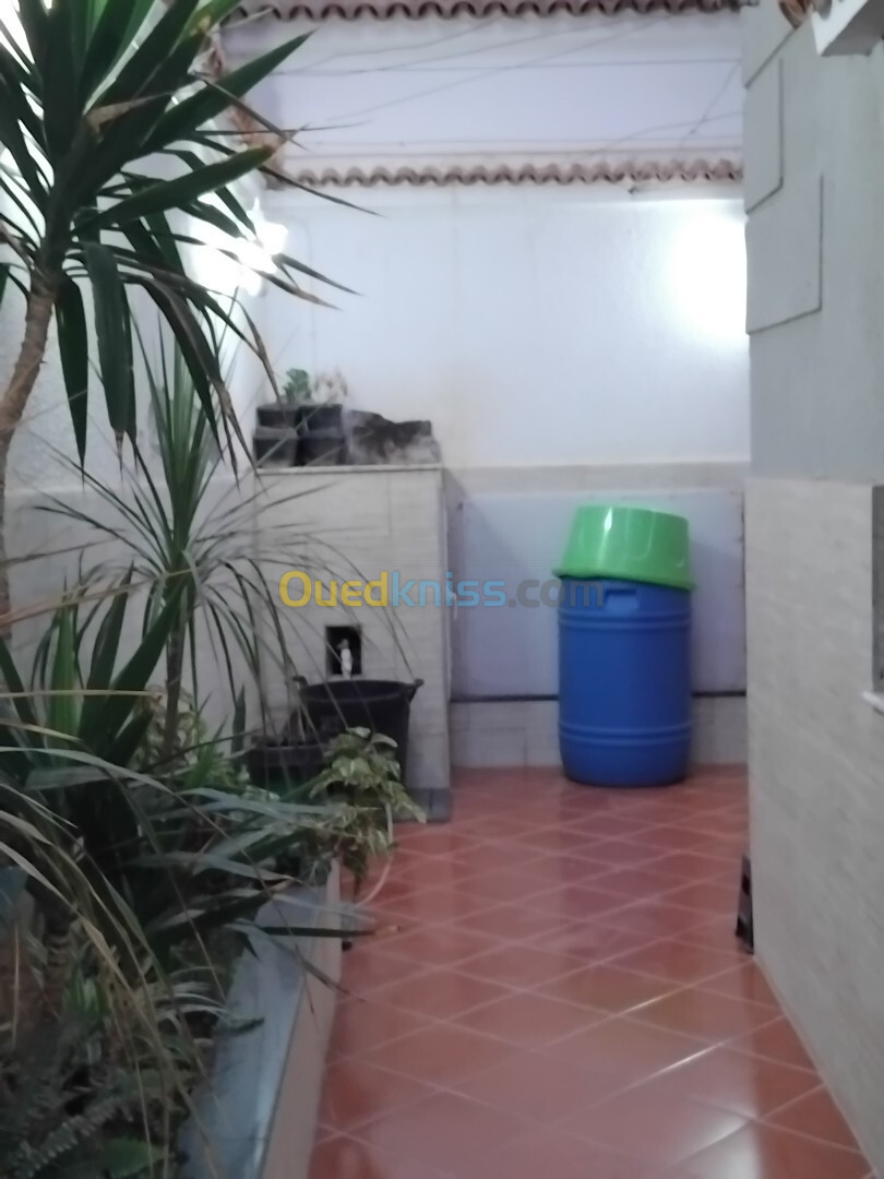 Vente Villa Alger El marsa