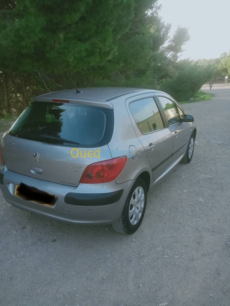 Peugeot 307 2004 307