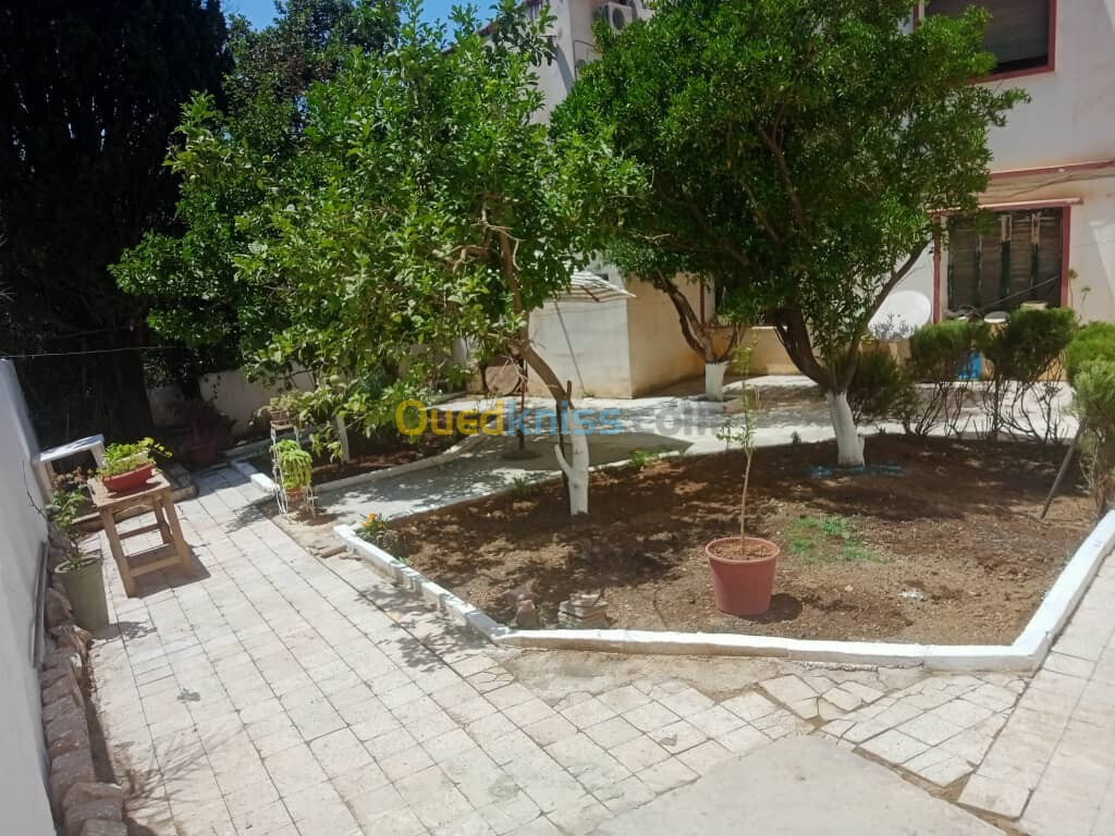 Vente Villa Alger El biar