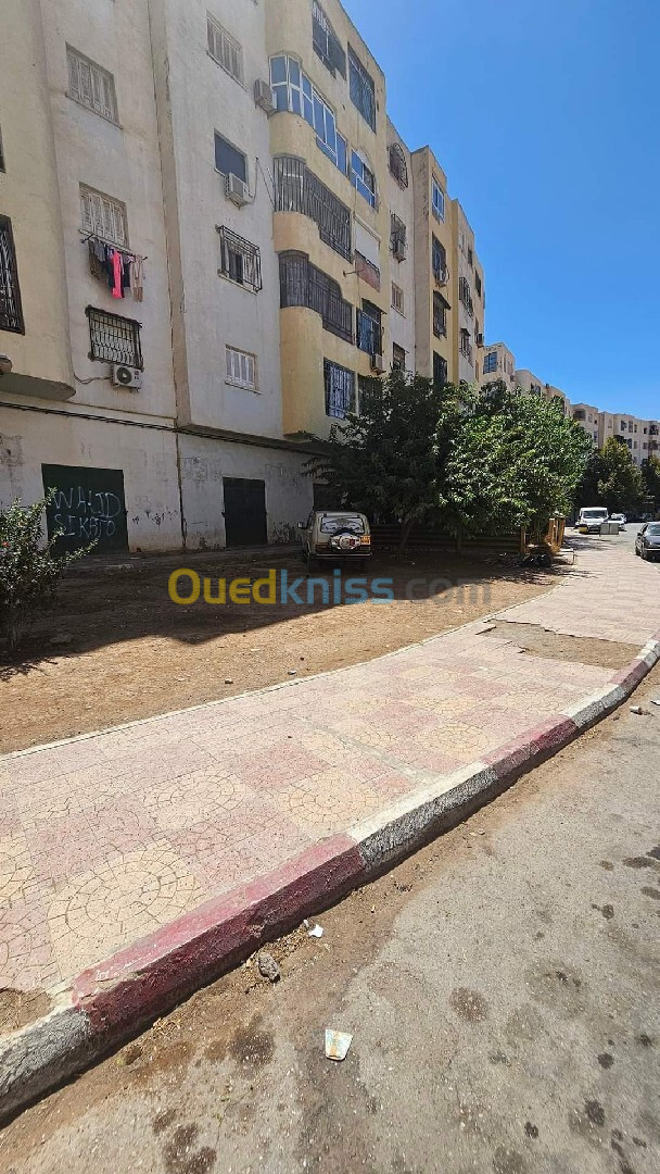 Vente Local Sidi Bel Abbès Sidi bel abbes