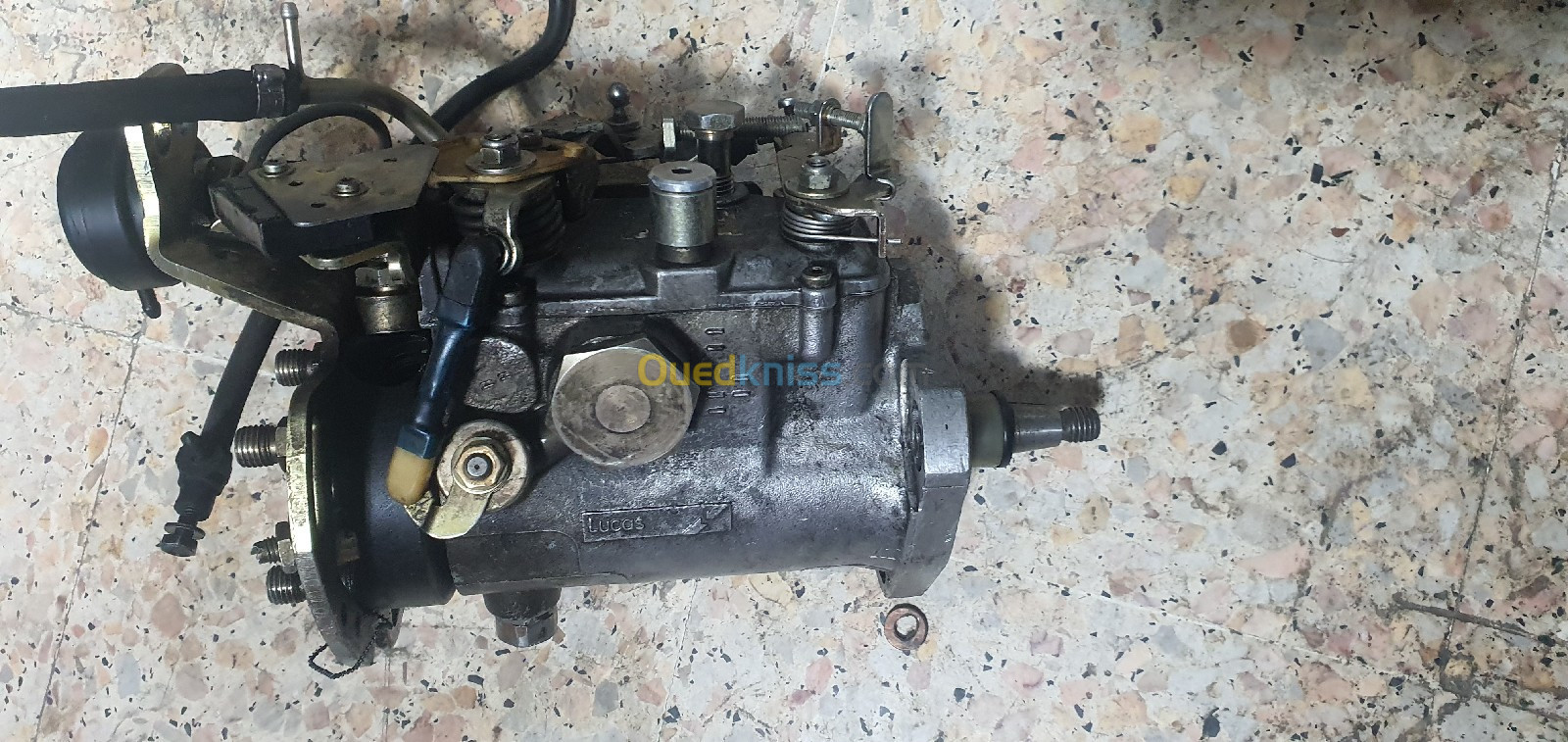 Pompe injection 1.9 turbo Renault