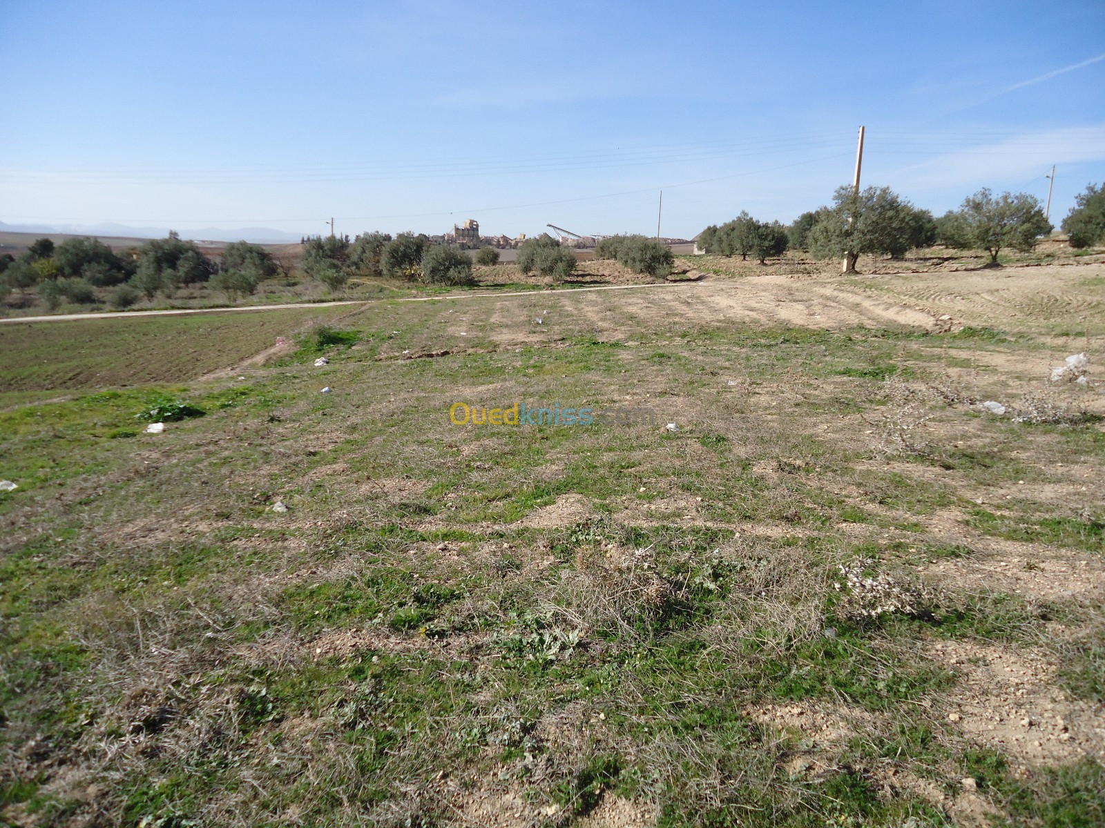 Vente Terrain Bouira El hachimia