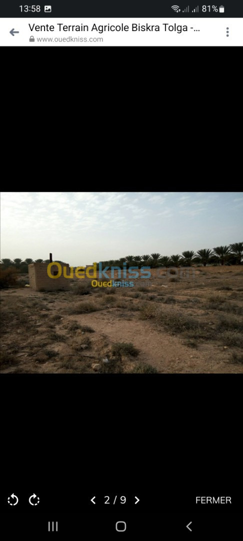 Vente Terrain Biskra Tolga