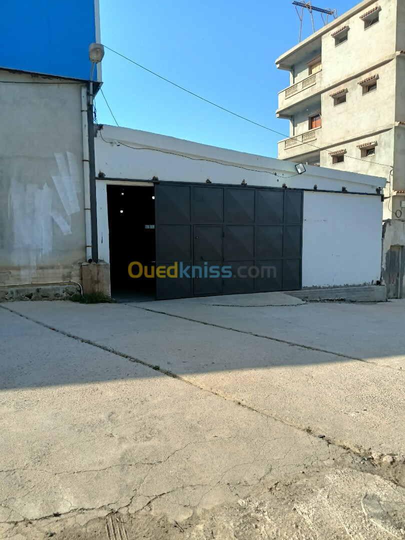 Location Hangar Alger Souidania