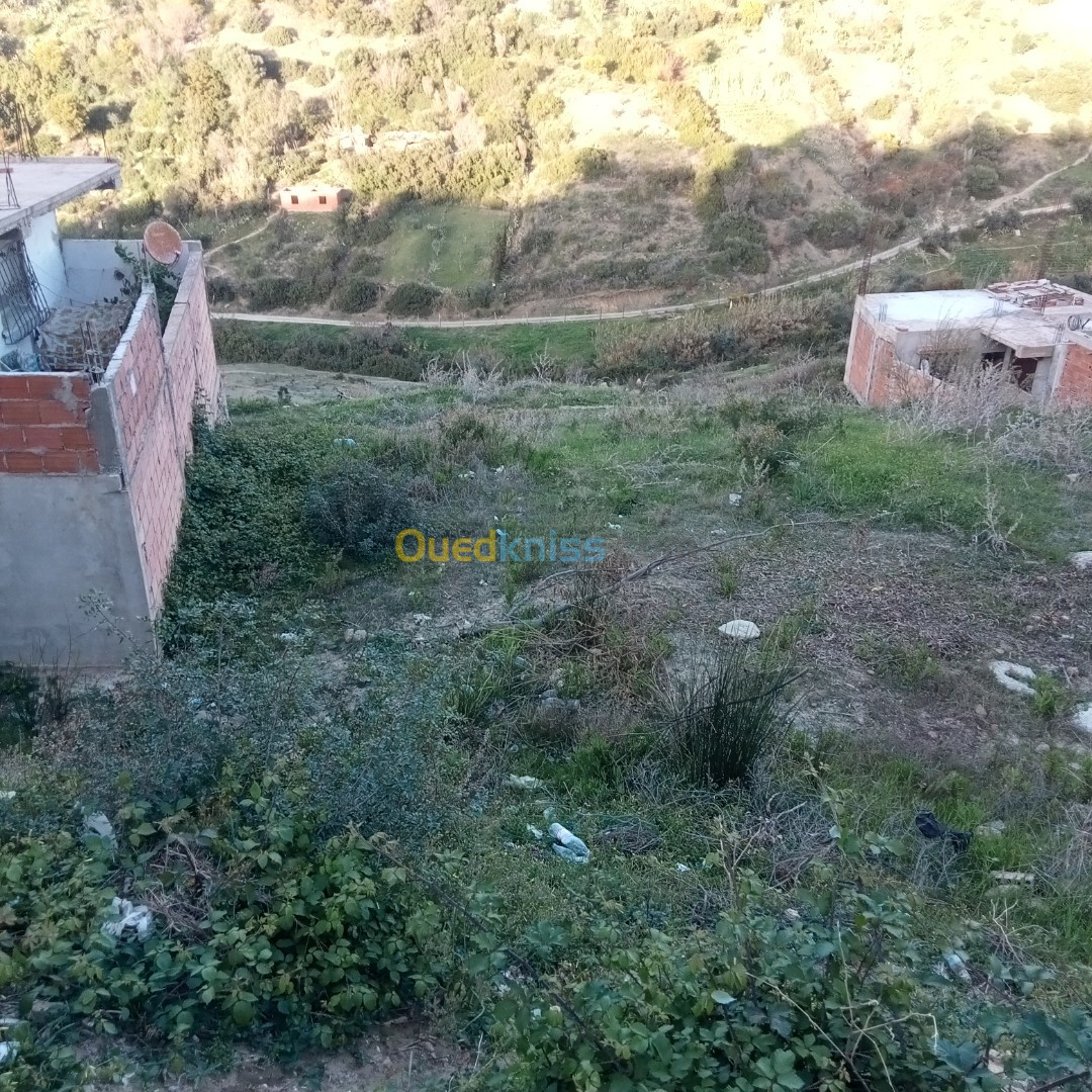 Vente Terrain Tipaza Cherchell