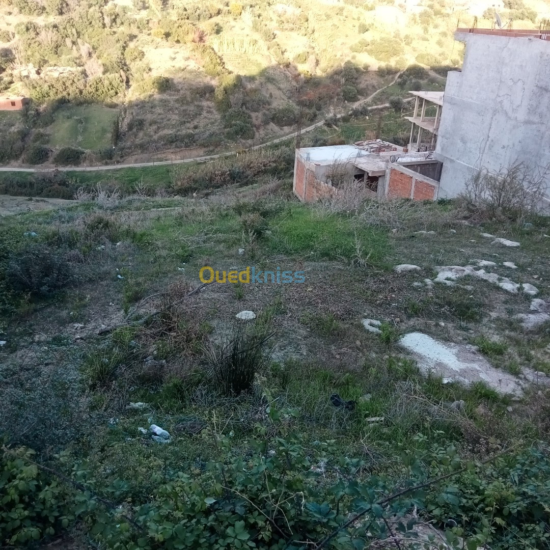 Vente Terrain Tipaza Cherchell