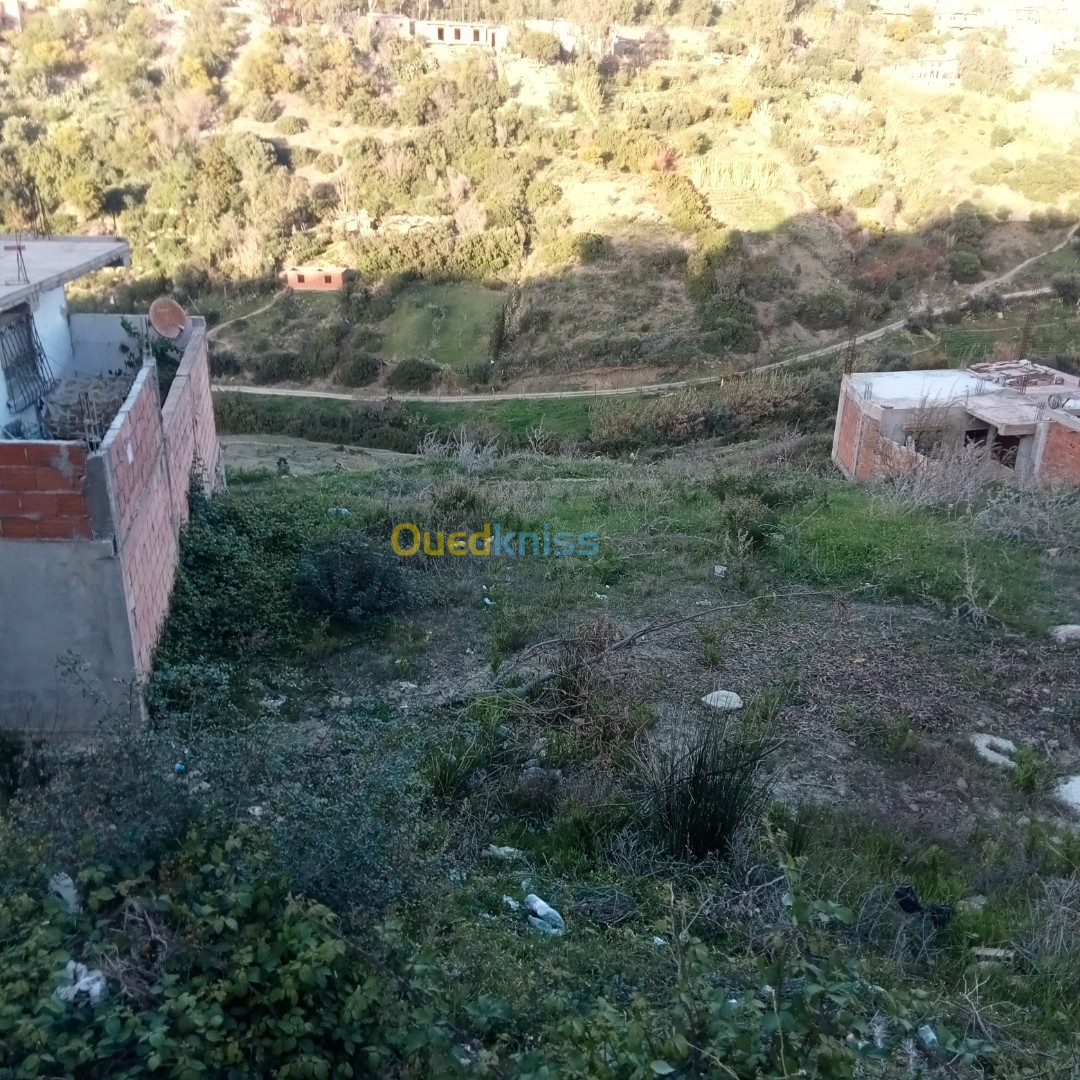 Vente Terrain Tipaza Cherchell